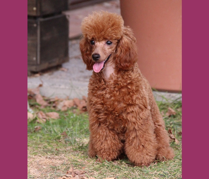 lola9