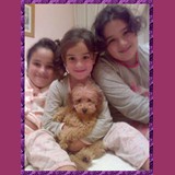 "Delabea red eternity"
Caniche apricot ahora "Buba", con sus dueñas Itziar, Leyre y Ainhoa en Zaragoza.