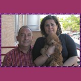 "Delabea Chaparron"
Caniche rojo ahora Alvin con Jesus y Lola en Zaragoza.