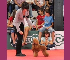 Samy final jovenes