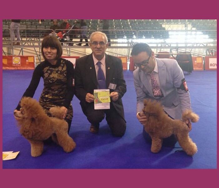 Samy y Pepa Mejor de Raza y CACIB