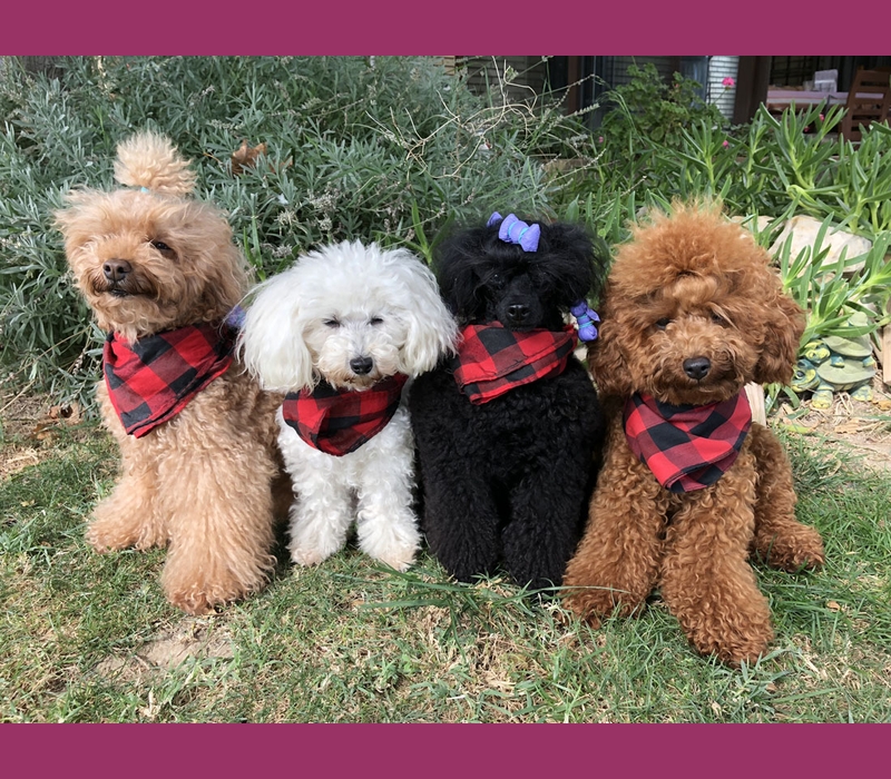IMG_9792